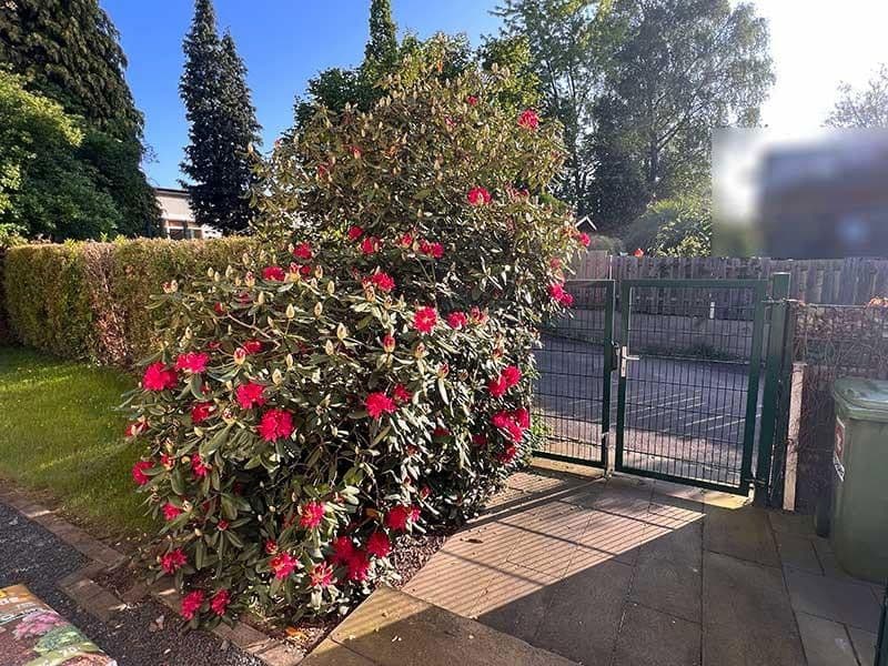 Prodej domu 190 m², pozemek 569 m², Overath, Severní Porýní-Vestfálsko Prodej domu 190 m², pozemek 569 m², Overath, Severní Porýní-Vestfálsko