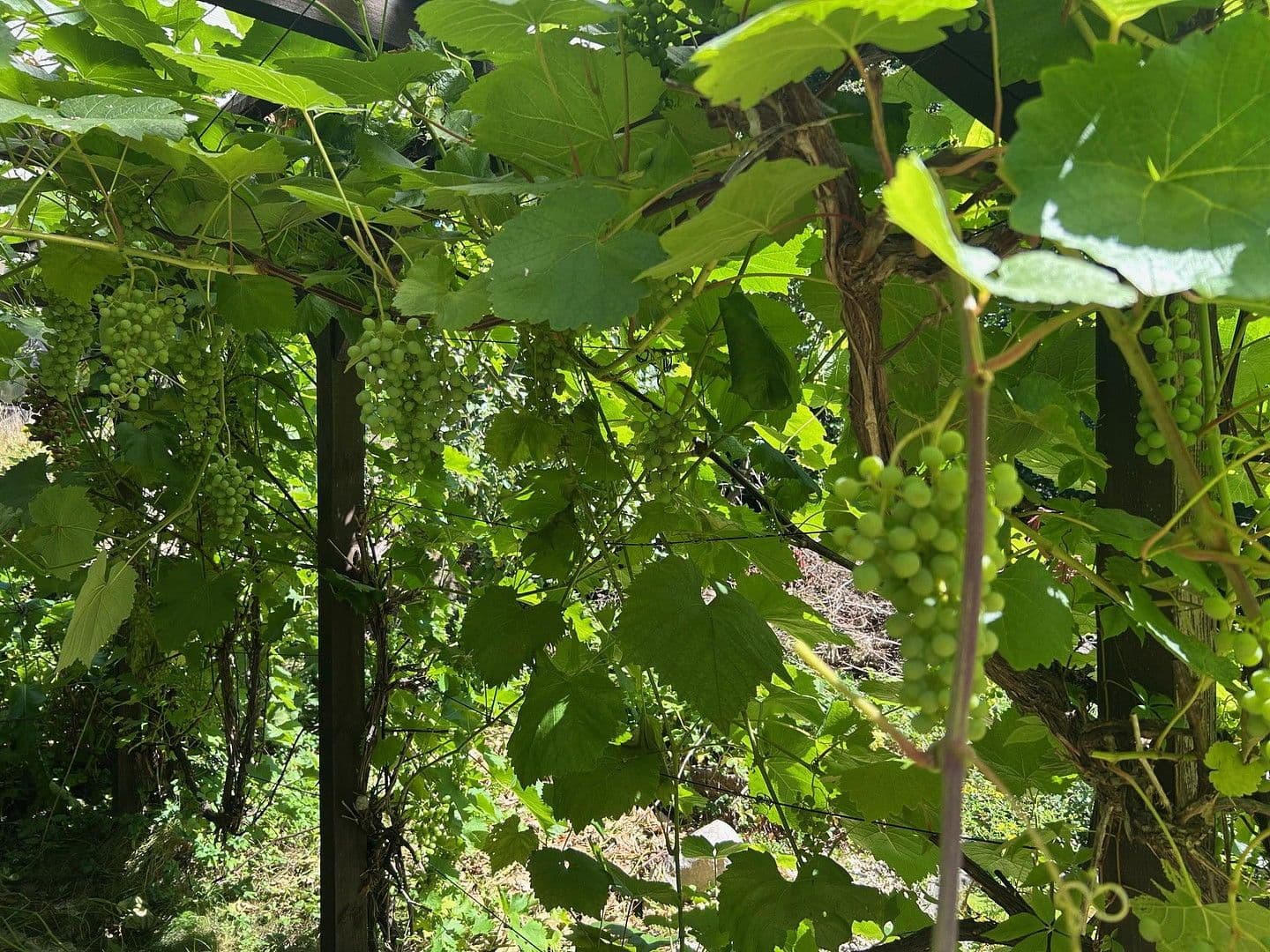 Prodej domu 134 m², pozemek 1.000 m², Zwönitz, Sasko Prodej domu 134 m², pozemek 1.000 m², Zwönitz, Sasko