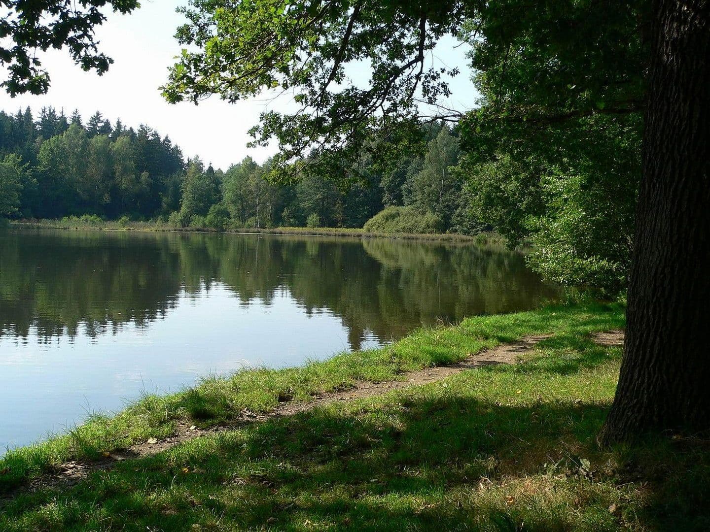 Prodej domu 134 m², pozemek 1.000 m², Zwönitz, Sasko Prodej domu 134 m², pozemek 1.000 m², Zwönitz, Sasko