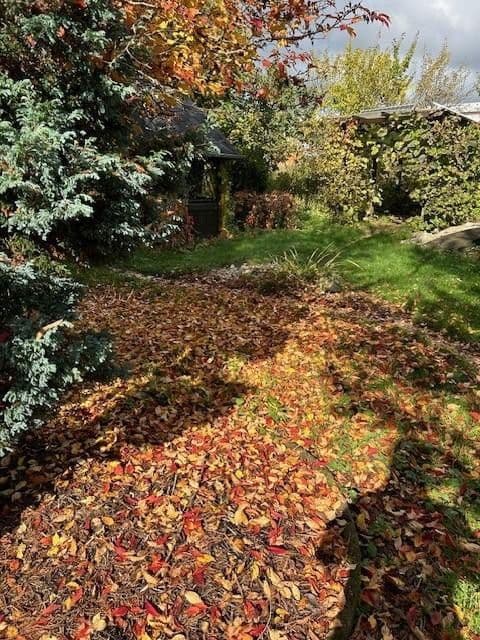 Prodej domu 134 m², pozemek 1.000 m², Zwönitz, Sasko Prodej domu 134 m², pozemek 1.000 m², Zwönitz, Sasko