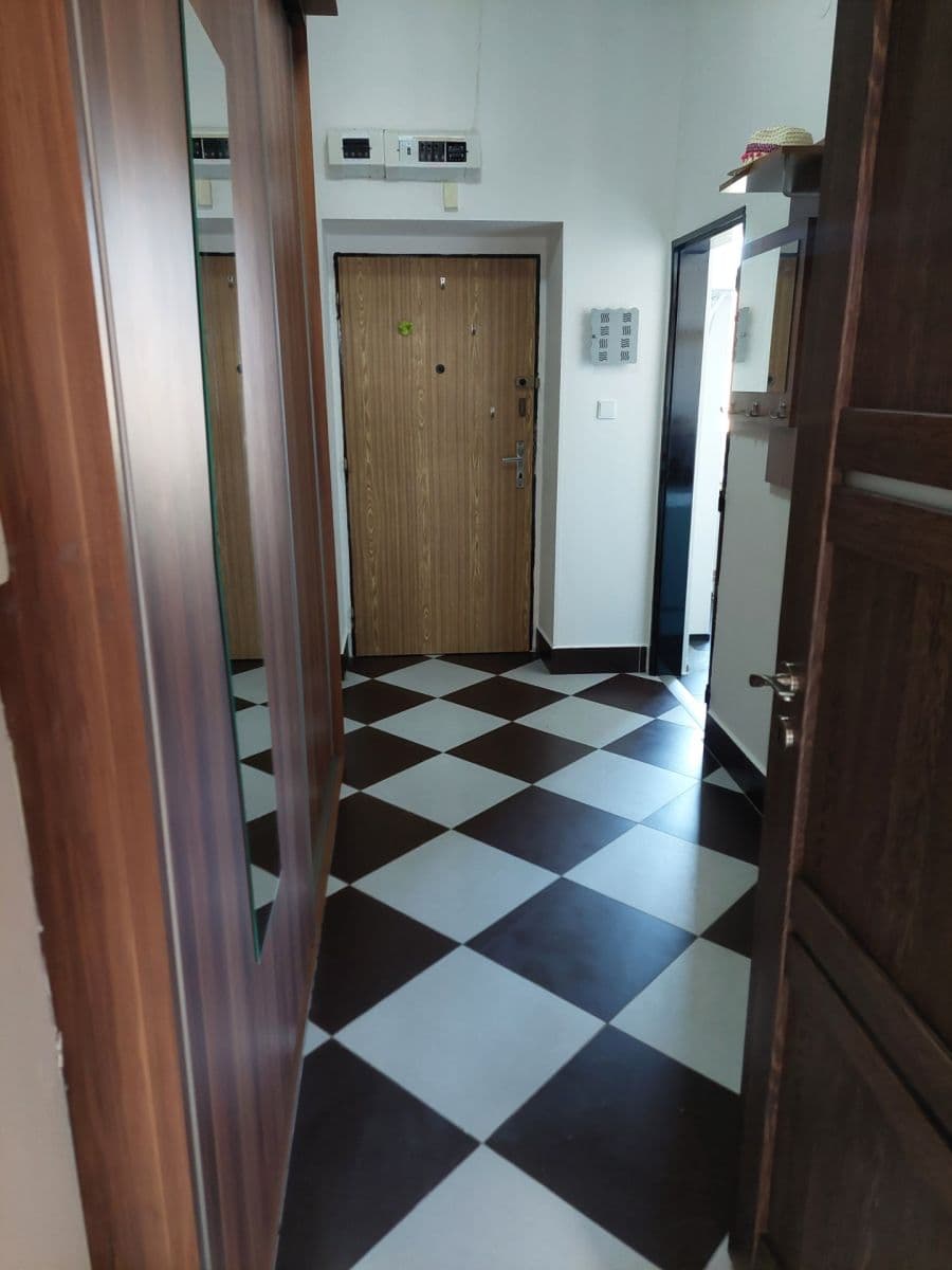 Pronájem bytu 1+1 46 m², Jugoslávská, Brno, Jihomoravský kraj Pronájem bytu 1+1 46 m², Jugoslávská, Brno, Jihomoravský kraj