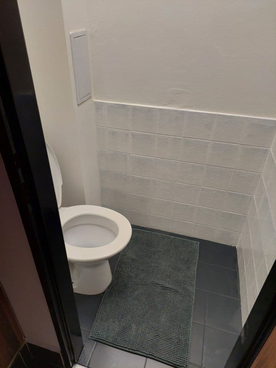 Pronájem bytu 1+1 46 m², Jugoslávská, Brno, Jihomoravský kraj Pronájem bytu 1+1 46 m², Jugoslávská, Brno, Jihomoravský kraj