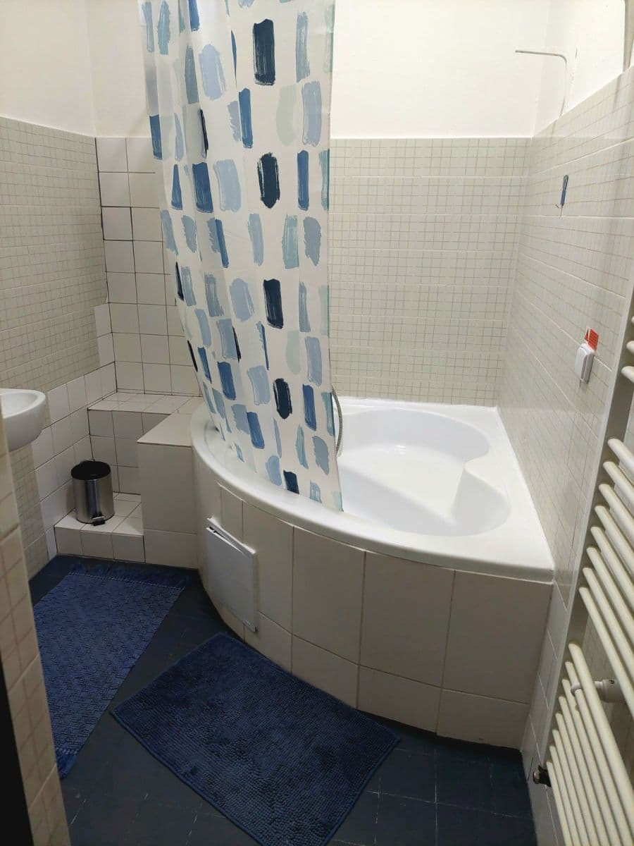 Pronájem bytu 1+1 46 m², Jugoslávská, Brno, Jihomoravský kraj Pronájem bytu 1+1 46 m², Jugoslávská, Brno, Jihomoravský kraj