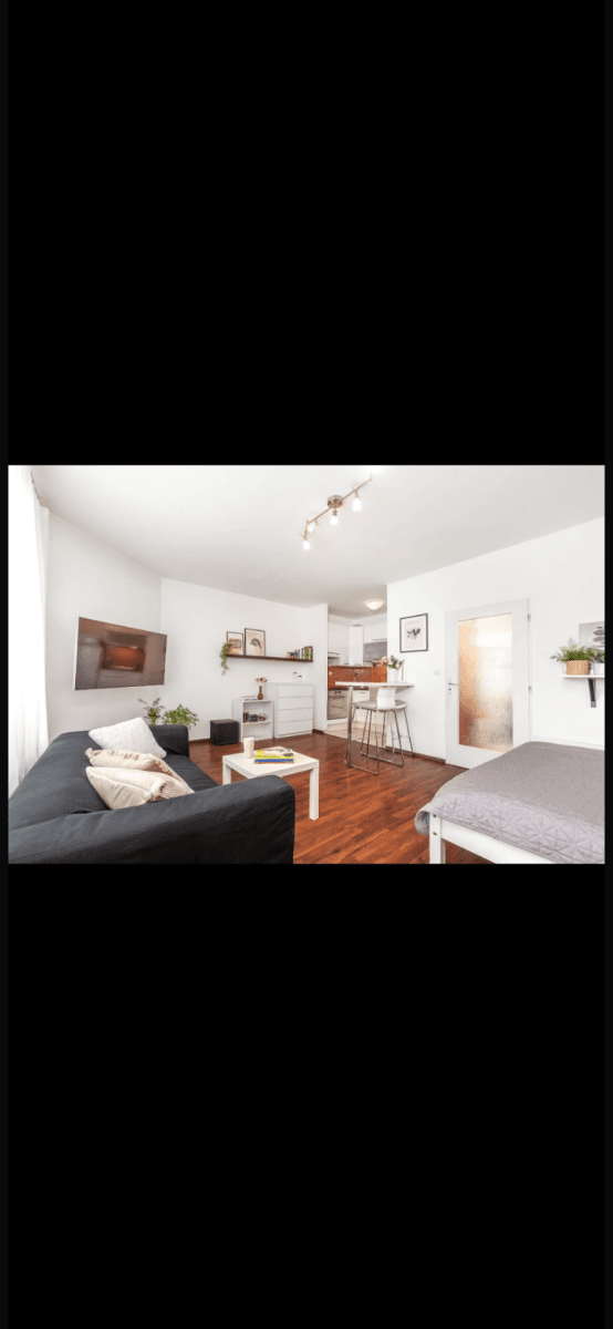 Pronájem bytu 1+kk 39 m², Bělohorská, Brno, Jihomoravský kraj Pronájem bytu 1+kk 39 m², Bělohorská, Brno, Jihomoravský kraj