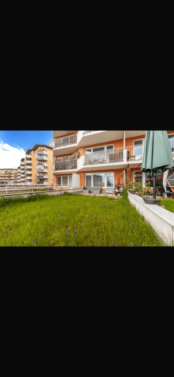 Pronájem bytu 1+kk 39 m², Bělohorská, Brno, Jihomoravský kraj Pronájem bytu 1+kk 39 m², Bělohorská, Brno, Jihomoravský kraj