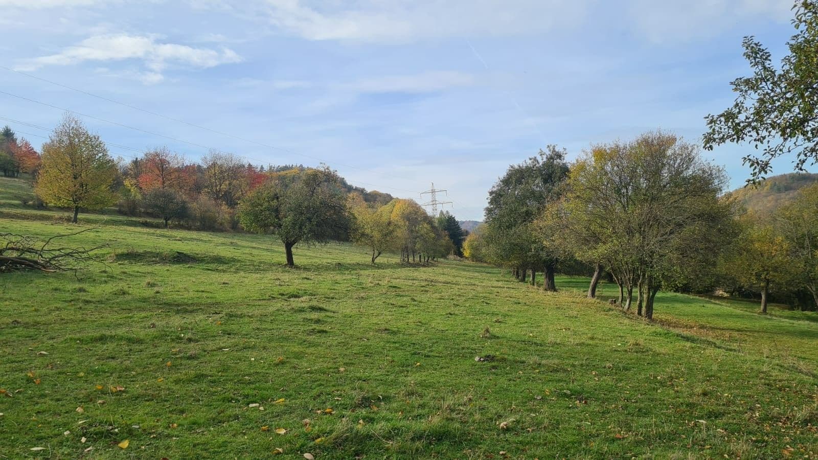 Prodej pozemku 81.050 m², Skorotice, Kraj Vysočina Prodej pozemku 81.050 m², Skorotice, Kraj Vysočina