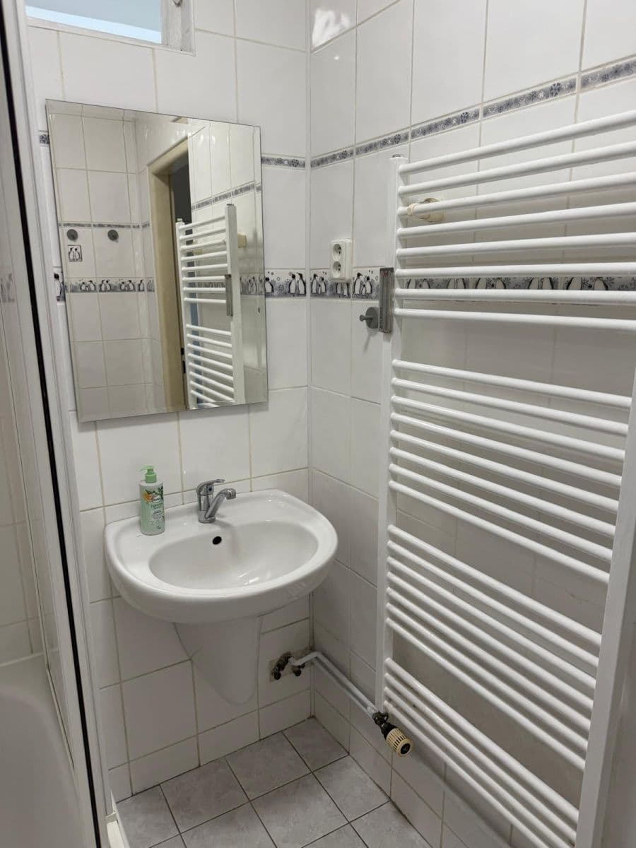 Pronájem bytu 2+1 61 m², Slezská, Sokolov, Karlovarský kraj Pronájem bytu 2+1 61 m², Slezská, Sokolov, Karlovarský kraj