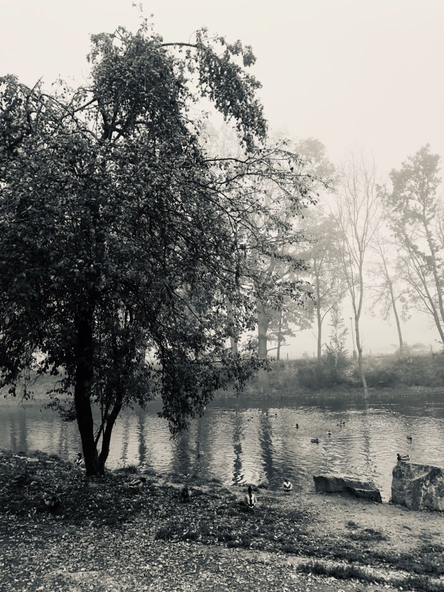 Pronájem bytu 2+kk 57 m², Generála Šišky, Praha, Praha Pronájem bytu 2+kk 57 m², Generála Šišky, Praha, Praha