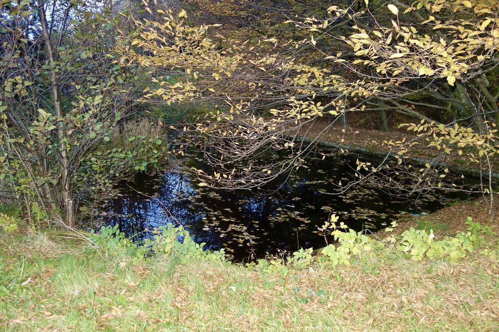 Prodej pozemku 2.003 m², Kaltwasserstrasse 1, St. Andrä Wördern, Dolní Rakousko Prodej pozemku 2.003 m², Kaltwasserstrasse 1, St. Andrä Wördern, Dolní Rakousko