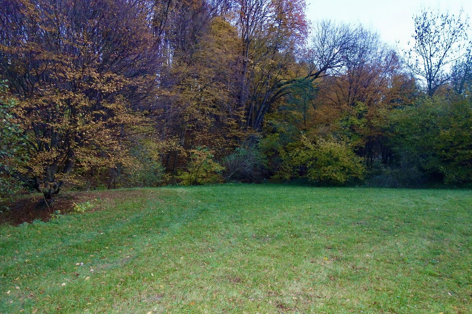 Prodej pozemku 2.003 m², Kaltwasserstrasse 1, St. Andrä Wördern, Dolní Rakousko Prodej pozemku 2.003 m², Kaltwasserstrasse 1, St. Andrä Wördern, Dolní Rakousko