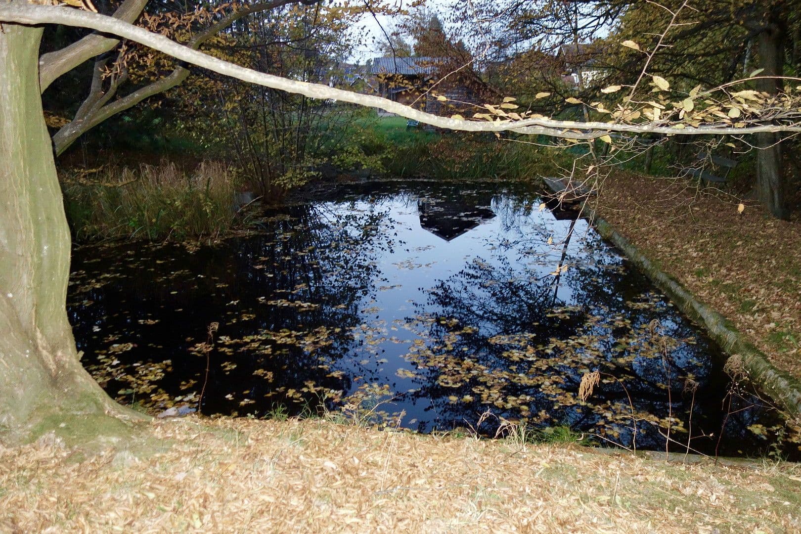 Prodej pozemku 2.592 m², Kaltwasserstrasse 1, St. Andrä Wördern, Dolní Rakousko Prodej pozemku 2.592 m², Kaltwasserstrasse 1, St. Andrä Wördern, Dolní Rakousko