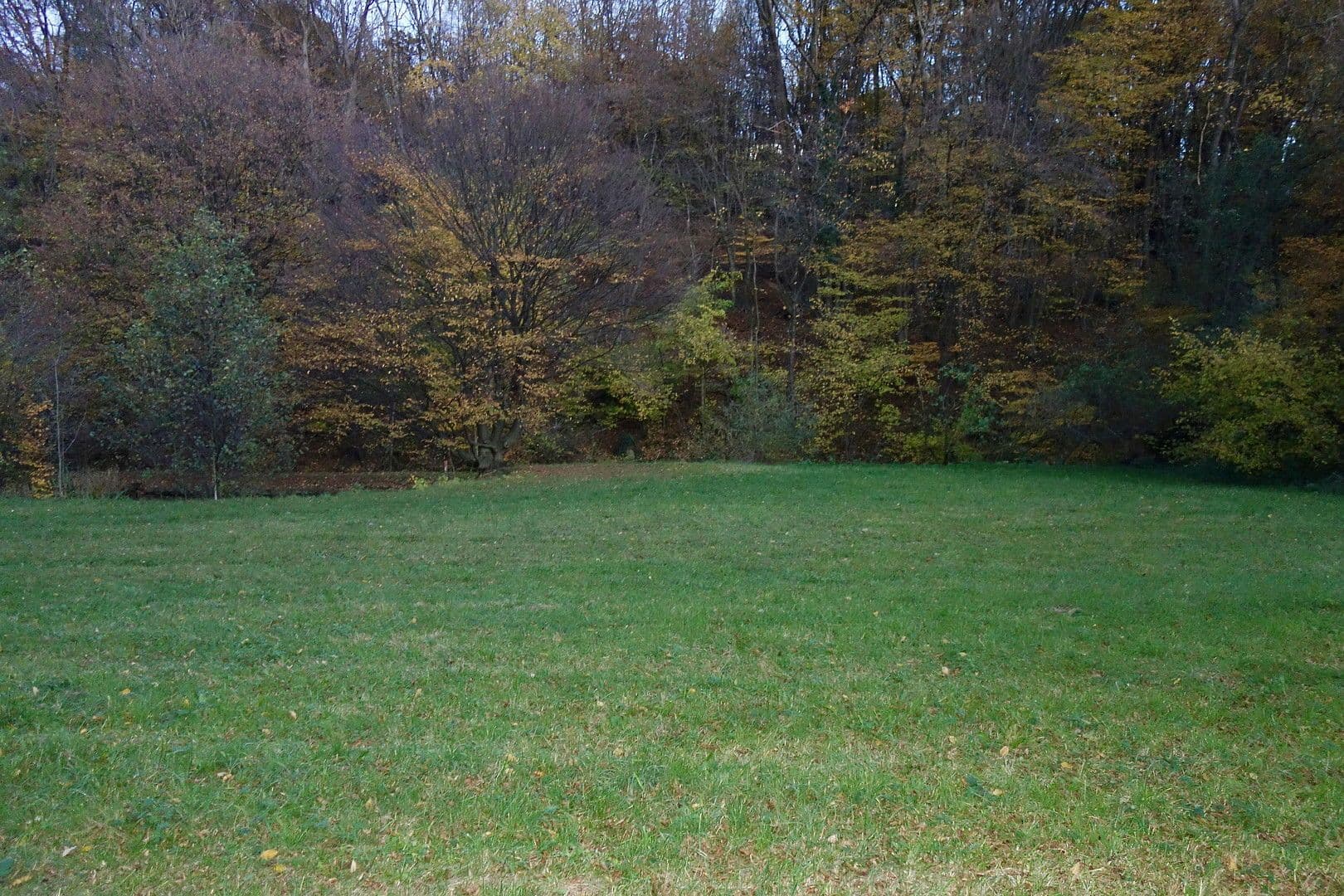 Prodej pozemku 2.592 m², Kaltwasserstrasse 1, St. Andrä Wördern, Dolní Rakousko Prodej pozemku 2.592 m², Kaltwasserstrasse 1, St. Andrä Wördern, Dolní Rakousko