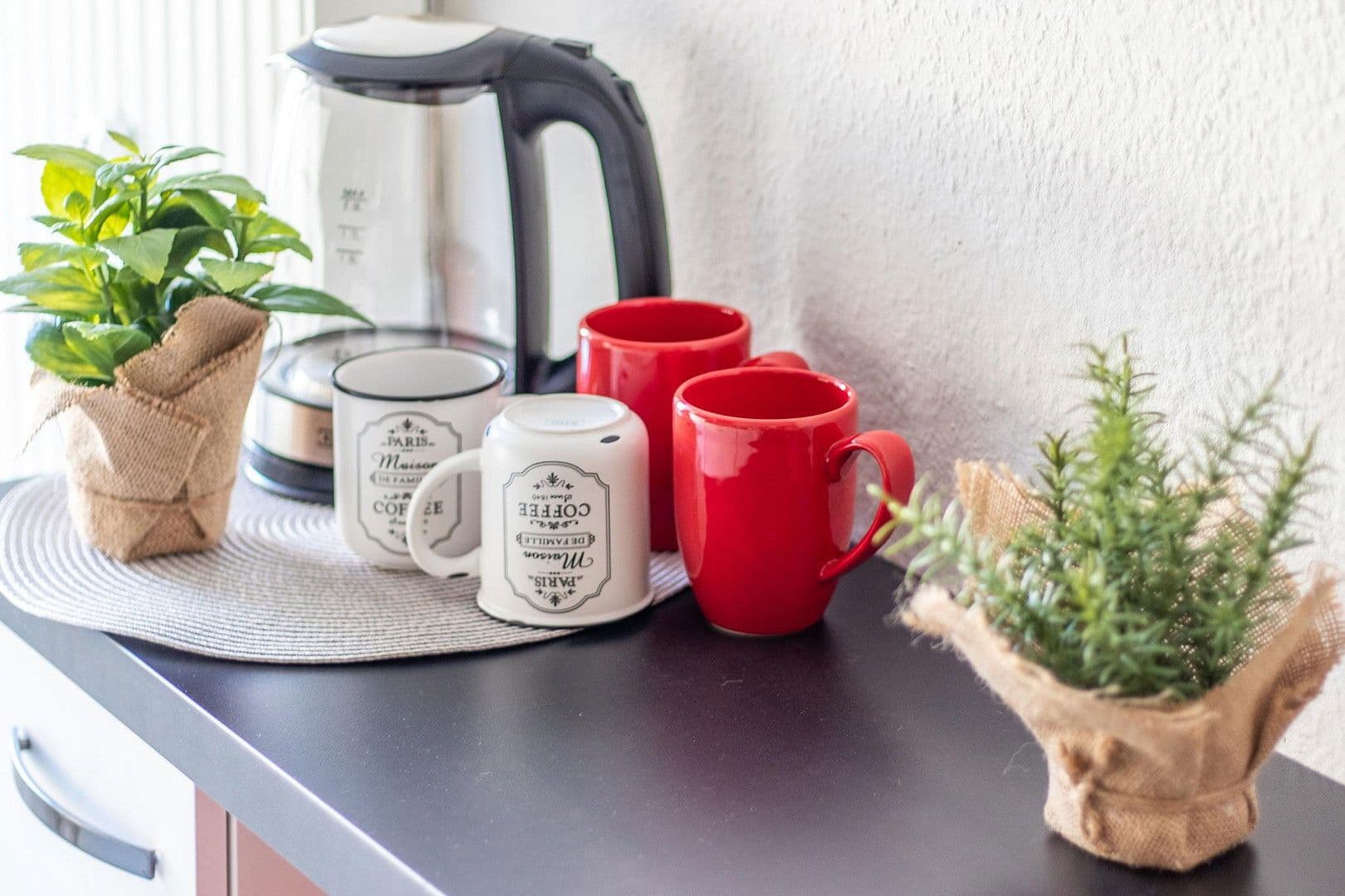 Pronájem bytu 2+1 50 m², Lassallestraße 8, Cvikov, Sasko Pronájem bytu 2+1 50 m², Lassallestraße 8, Cvikov, Sasko