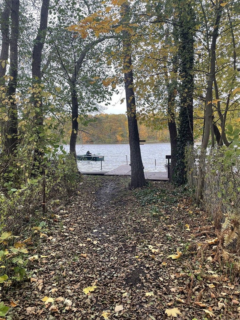 Prodej domu 80 m², pozemek 600 m², Tulpenweg 20, Strausberg, Braniborsko Prodej domu 80 m², pozemek 600 m², Tulpenweg 20, Strausberg, Braniborsko