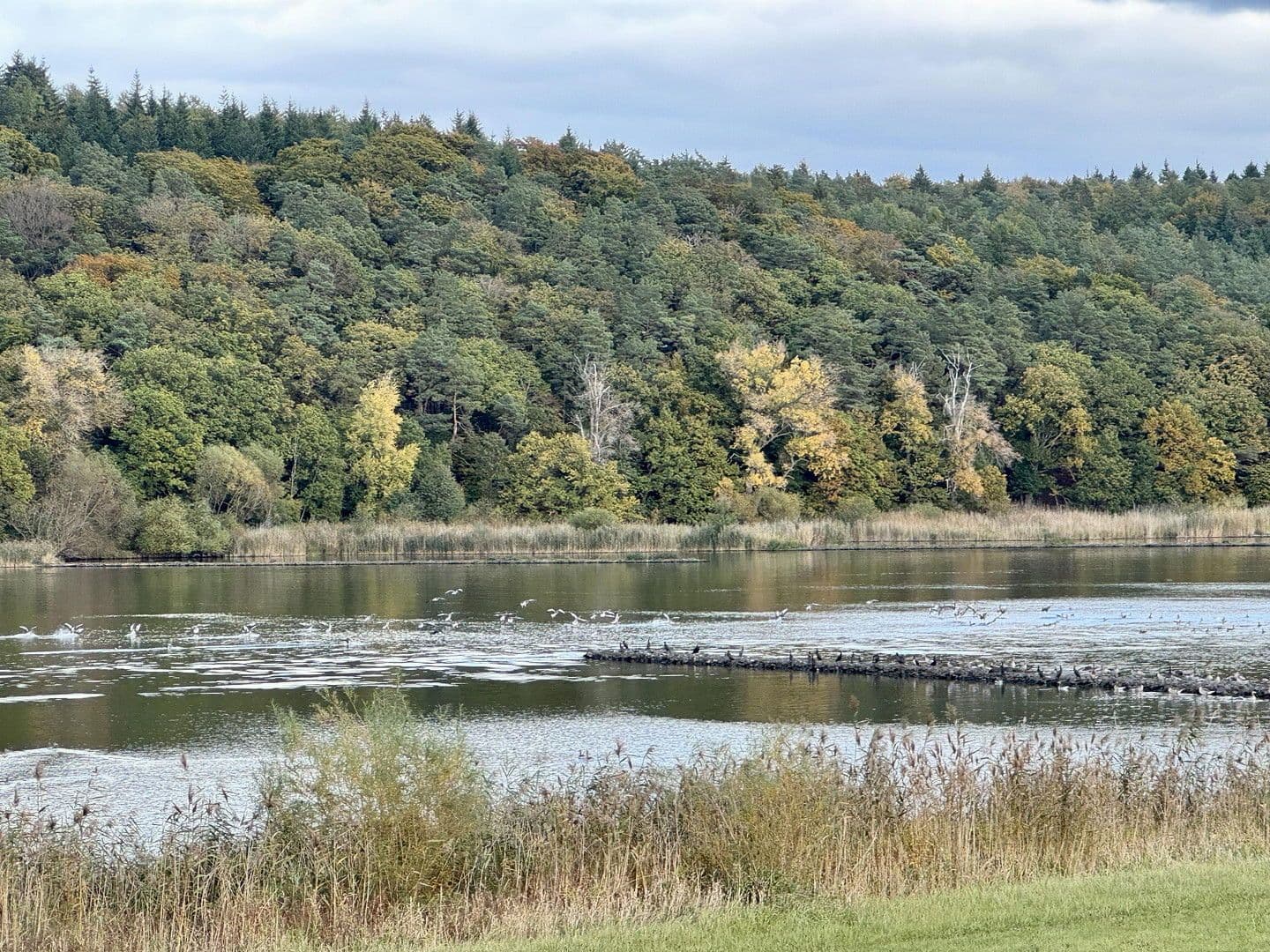 Pronájem domu 134 m², pozemek 1.484 m², Elbuferstraße 51, Tespe, Dolní Sasko Pronájem domu 134 m², pozemek 1.484 m², Elbuferstraße 51, Tespe, Dolní Sasko