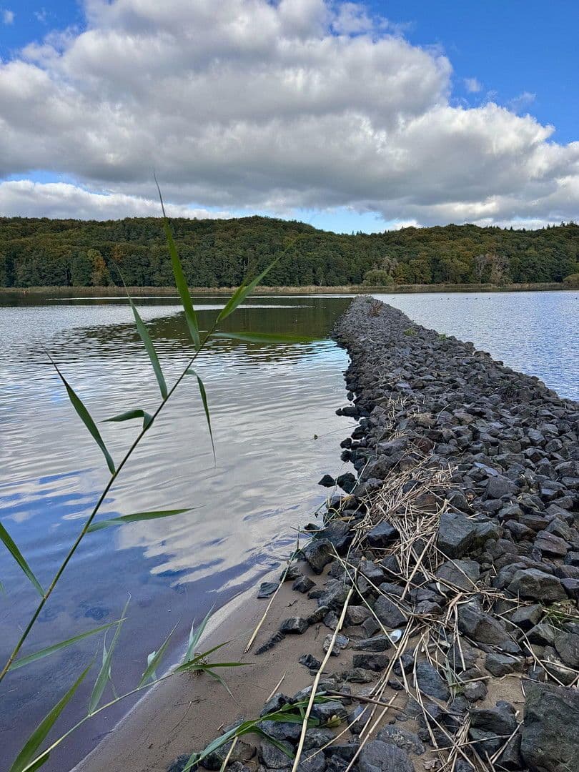 Pronájem domu 134 m², pozemek 1.484 m², Elbuferstraße 51, Tespe, Dolní Sasko Pronájem domu 134 m², pozemek 1.484 m², Elbuferstraße 51, Tespe, Dolní Sasko