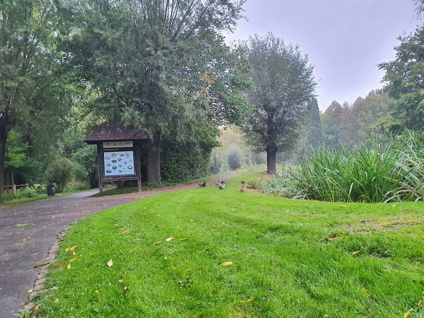 Prodej bytu 3+1 79 m², Vellmar, Hessen Prodej bytu 3+1 79 m², Vellmar, Hessen