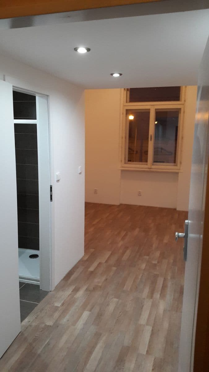 Pronájem bytu 1+kk 20 m², Seifertova, Praha, Praha Pronájem bytu 1+kk 20 m², Seifertova, Praha, Praha