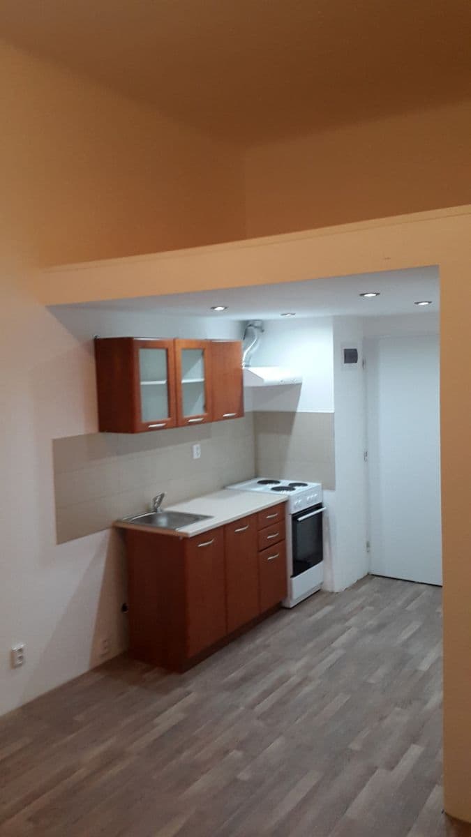 Pronájem bytu 1+kk 20 m², Seifertova, Praha, Praha Pronájem bytu 1+kk 20 m², Seifertova, Praha, Praha