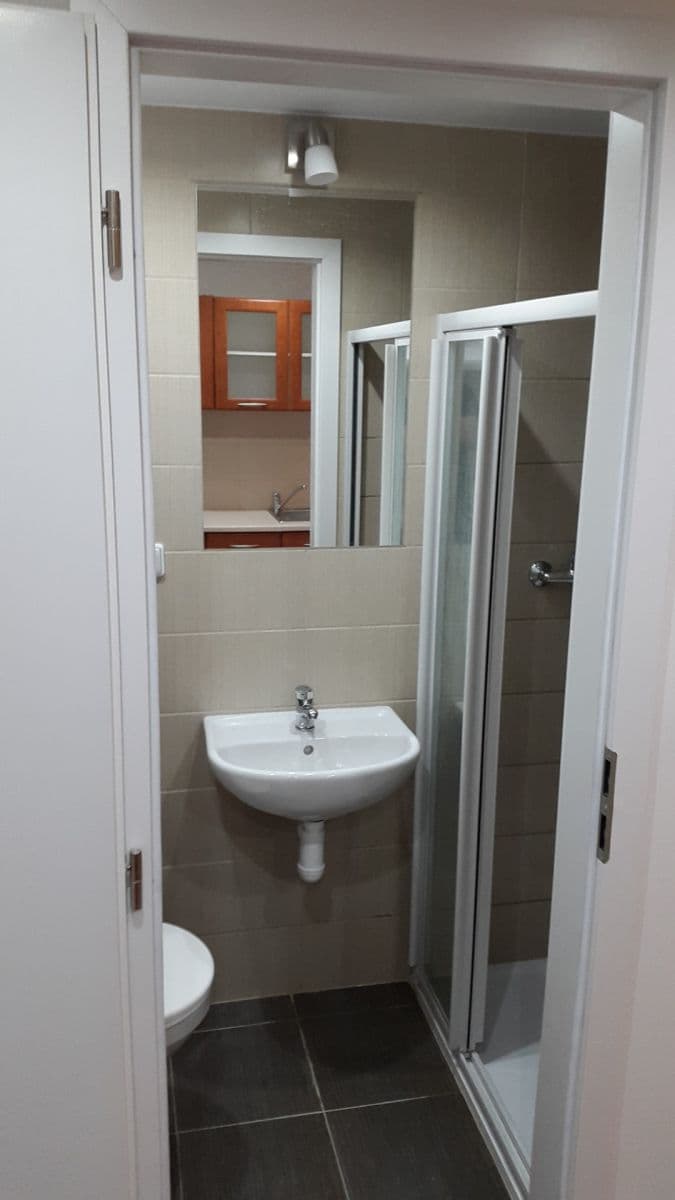Pronájem bytu 1+kk 20 m², Seifertova, Praha, Praha Pronájem bytu 1+kk 20 m², Seifertova, Praha, Praha