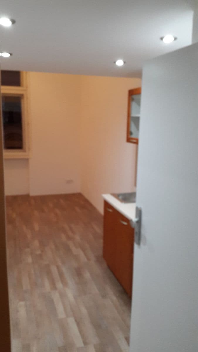 Pronájem bytu 1+kk 20 m², Seifertova, Praha, Praha Pronájem bytu 1+kk 20 m², Seifertova, Praha, Praha
