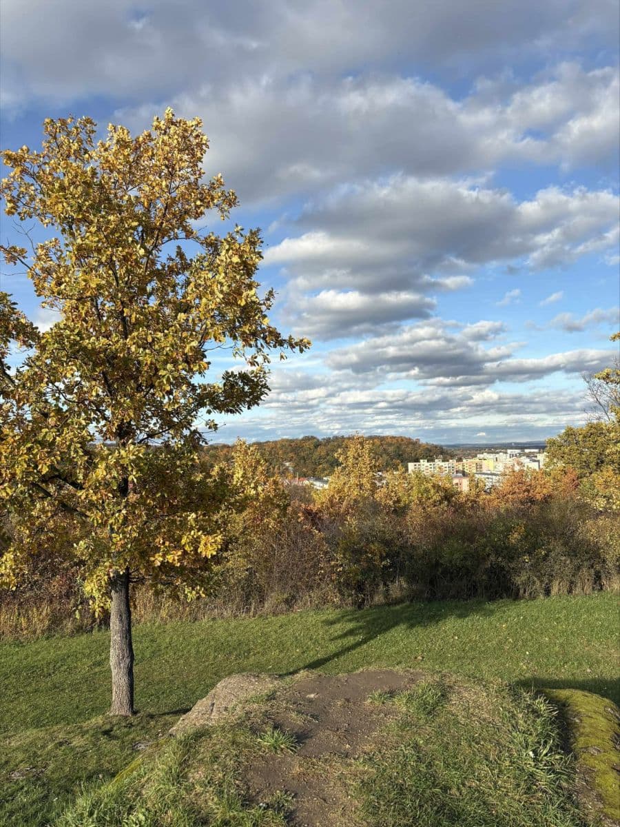 Prodej bytu 3+kk 95 m², Souběžná, Kralupy nad Vltavou, Středočeský kraj Prodej bytu 3+kk 95 m², Souběžná, Kralupy nad Vltavou, Středočeský kraj