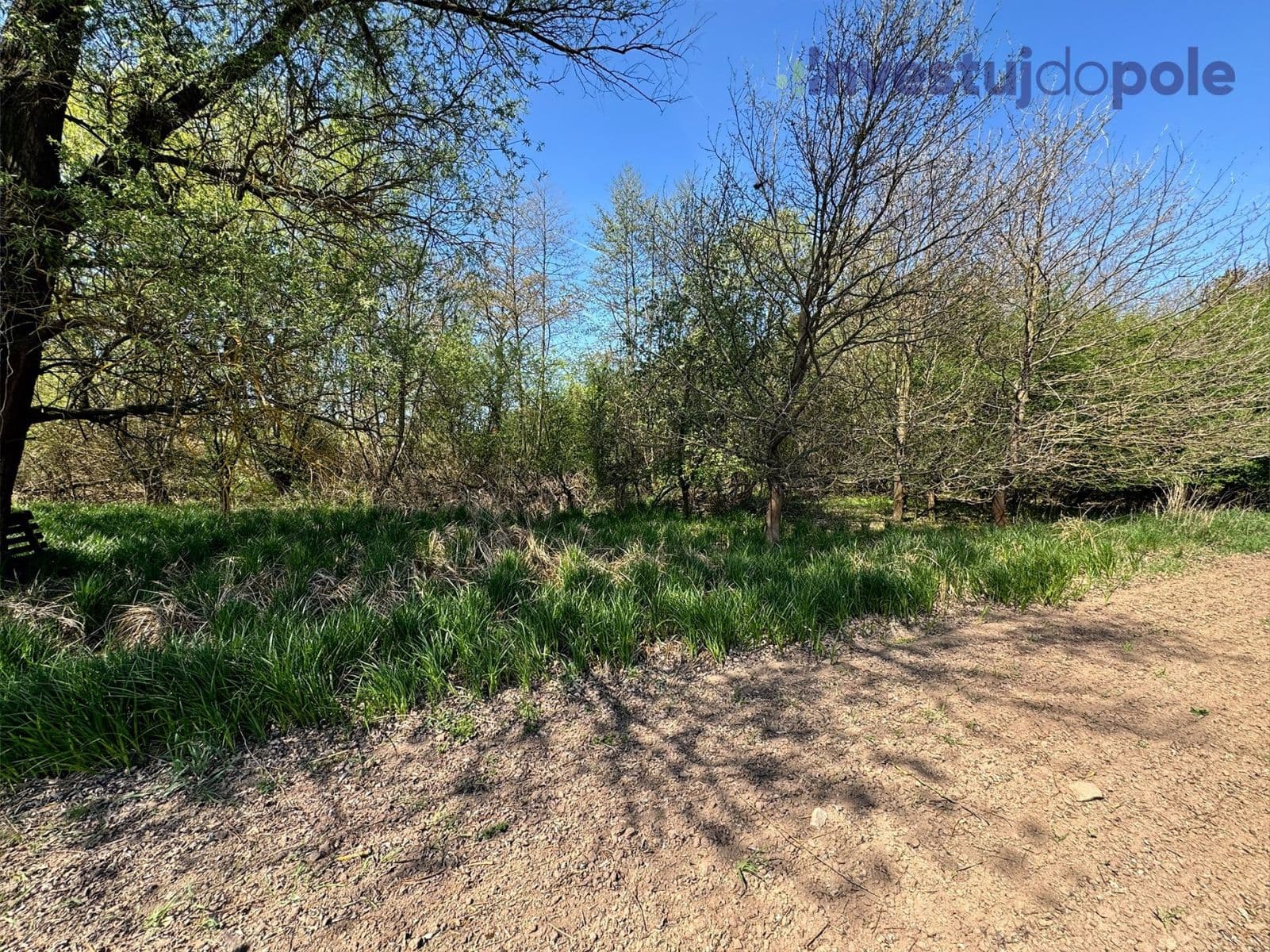 Prodej pozemku 7.161 m², Přelouč, Pardubický kraj Prodej pozemku 7.161 m², Přelouč, Pardubický kraj