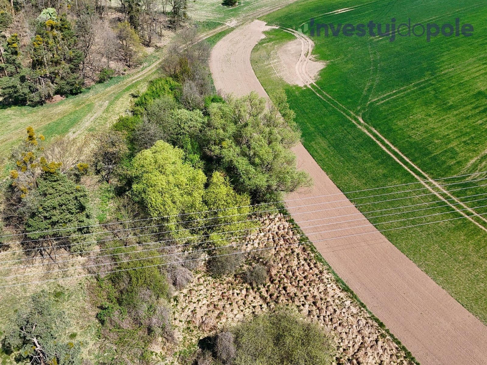 Prodej pozemku 7.161 m², Přelouč, Pardubický kraj Prodej pozemku 7.161 m², Přelouč, Pardubický kraj