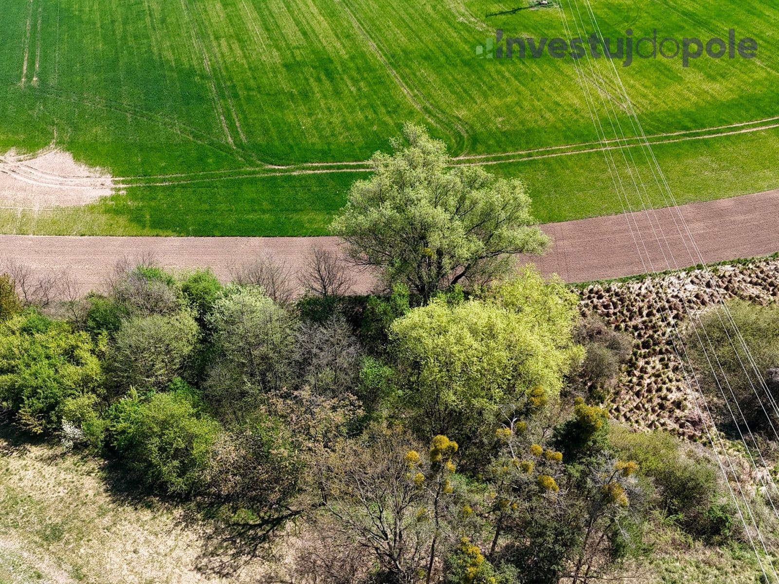 Prodej pozemku 7.161 m², Přelouč, Pardubický kraj Prodej pozemku 7.161 m², Přelouč, Pardubický kraj