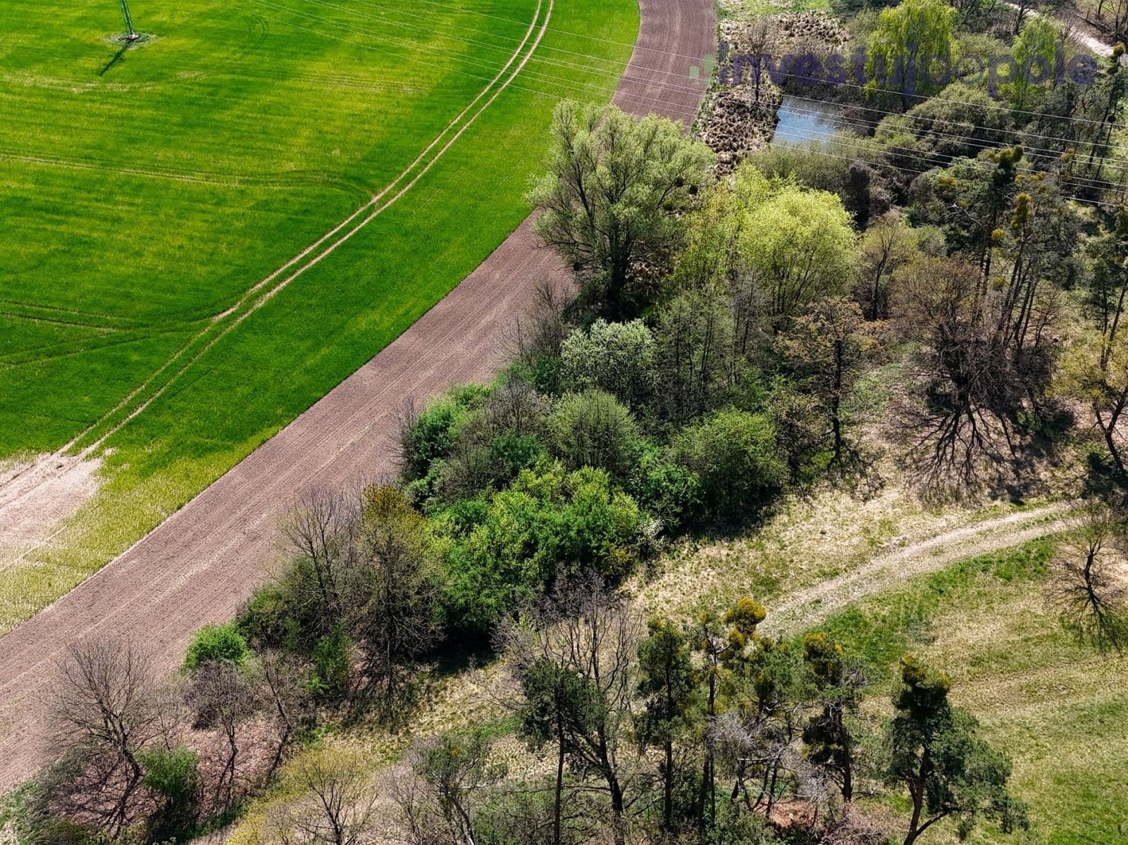 Prodej pozemku 7.161 m², Přelouč, Pardubický kraj Prodej pozemku 7.161 m², Přelouč, Pardubický kraj