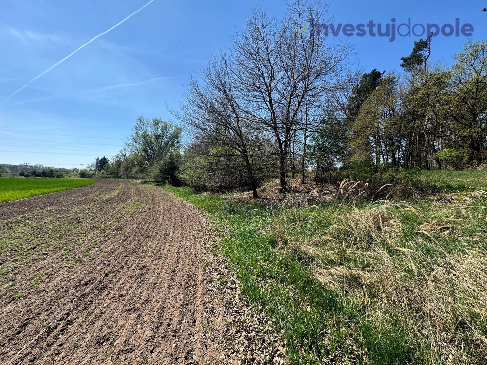 Prodej pozemku 7.161 m², Přelouč, Pardubický kraj Prodej pozemku 7.161 m², Přelouč, Pardubický kraj