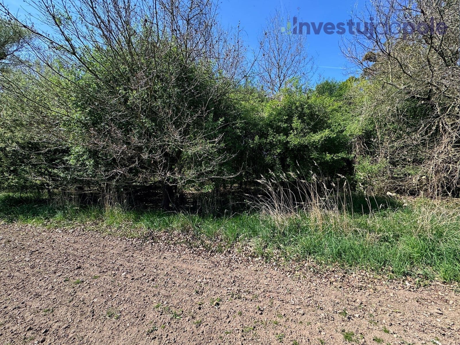 Prodej pozemku 7.161 m², Přelouč, Pardubický kraj Prodej pozemku 7.161 m², Přelouč, Pardubický kraj