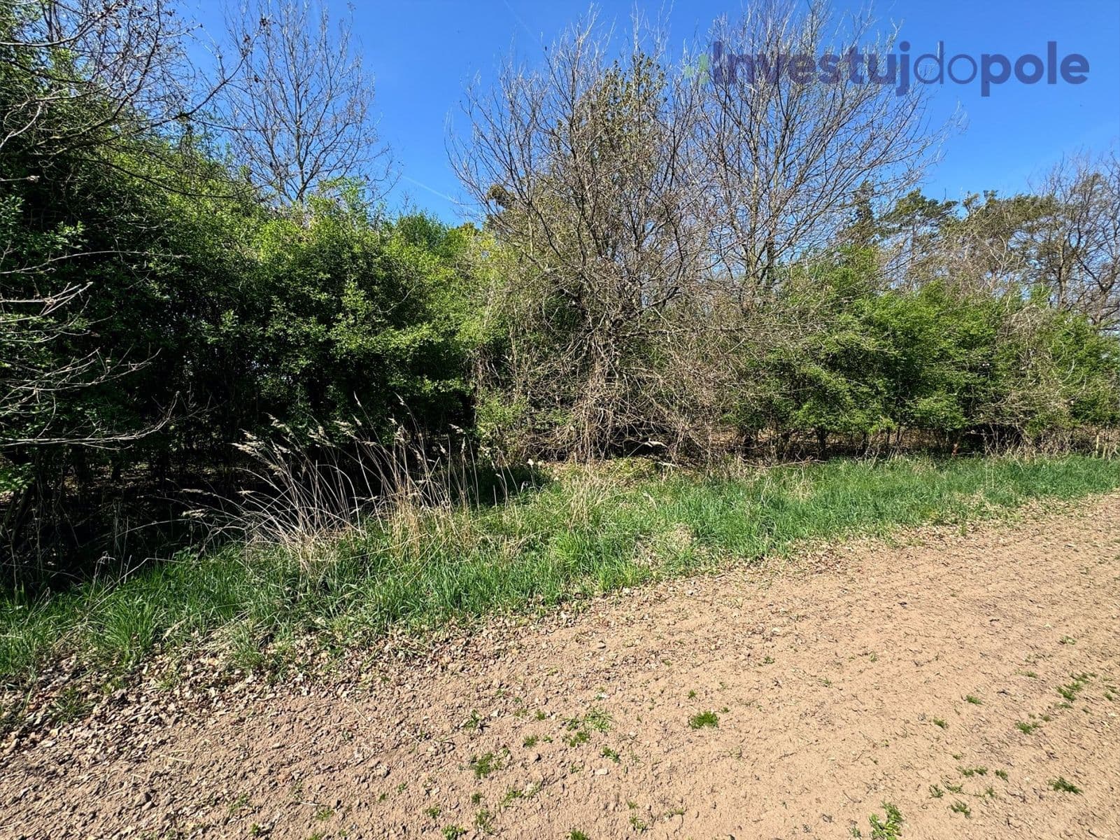 Prodej pozemku 7.161 m², Přelouč, Pardubický kraj Prodej pozemku 7.161 m², Přelouč, Pardubický kraj