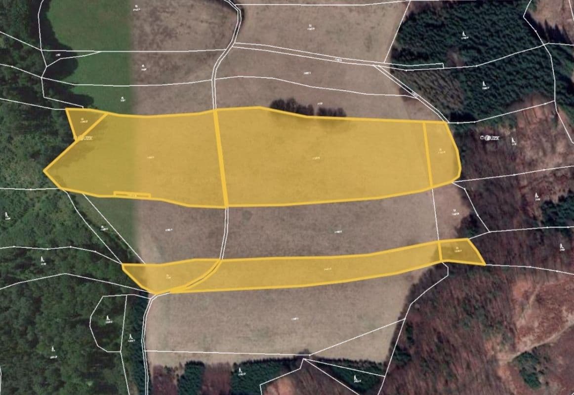 Prodej pozemku 39.053 m², Městečko Trnávka, Pardubický kraj Prodej pozemku 39.053 m², Městečko Trnávka, Pardubický kraj