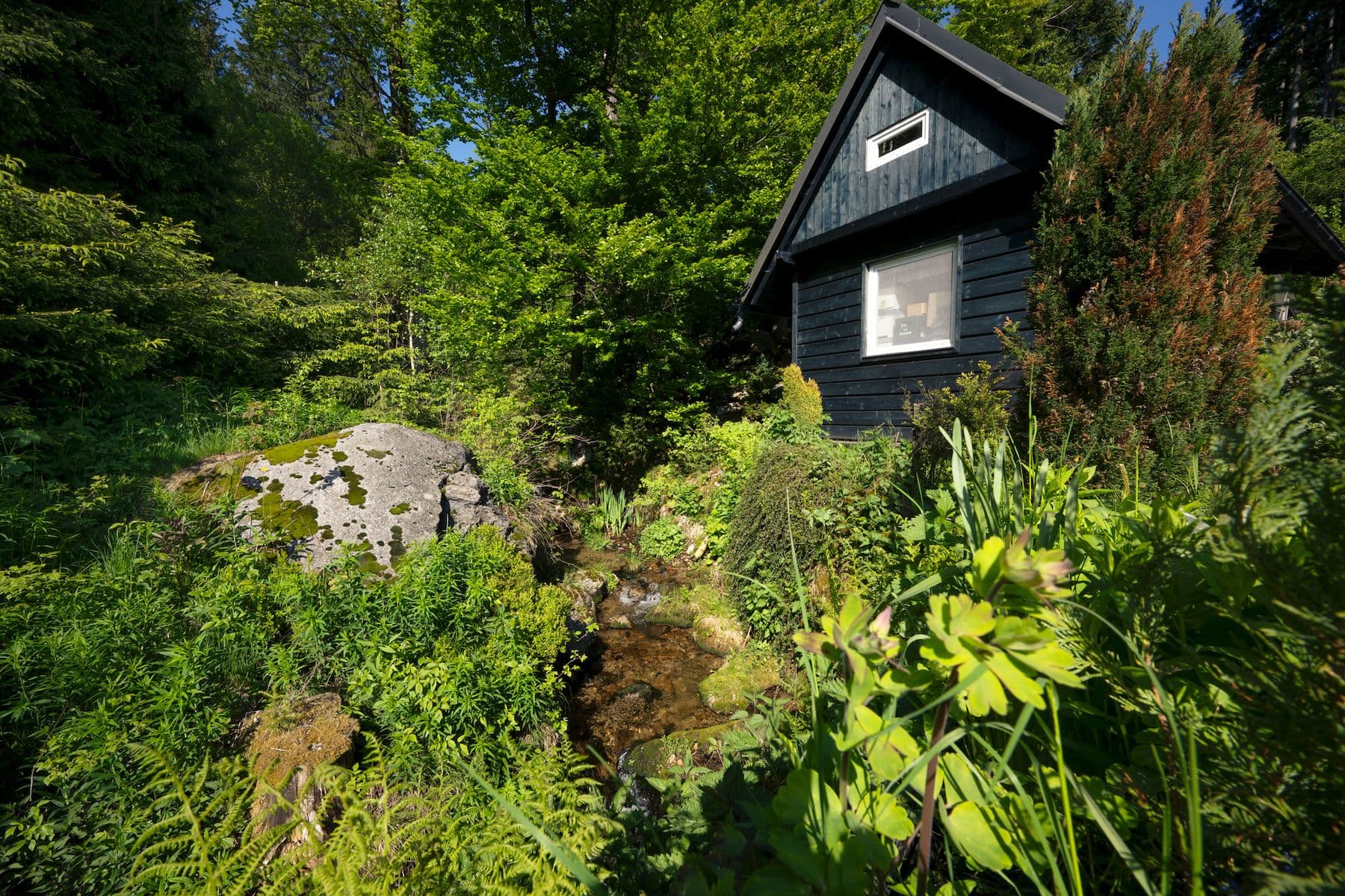 Prodej domu 647 m², pozemek 1.445 m², Polubenská, Desná, Liberecký kraj Prodej domu 647 m², pozemek 1.445 m², Polubenská, Desná, Liberecký kraj