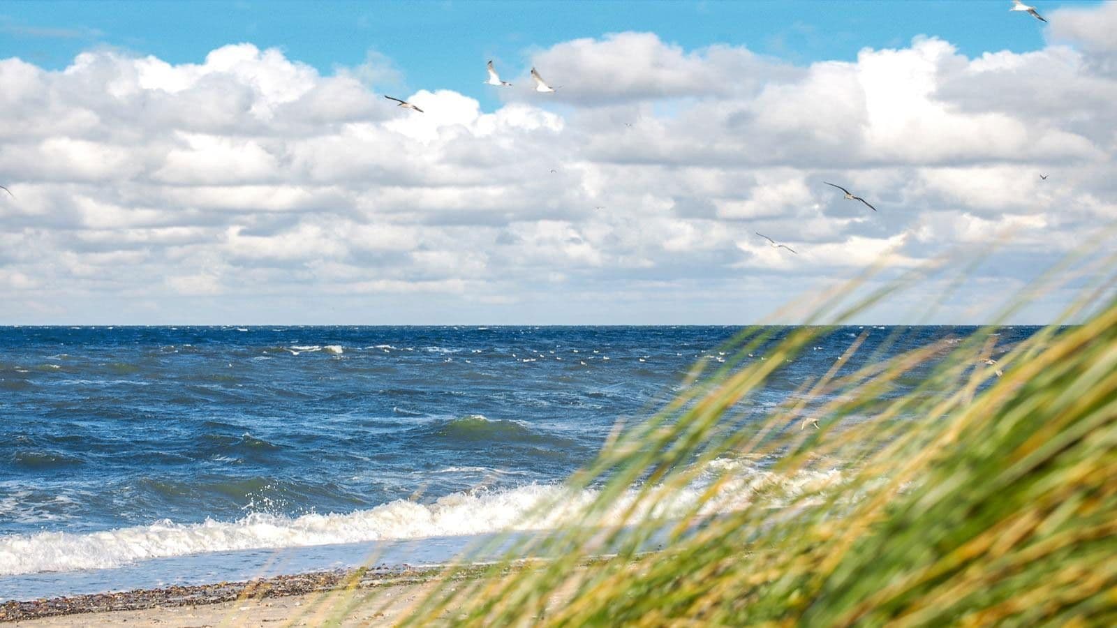 Prodej bytu 3+1 82 m², Rerik, Mecklenburg-Vorpommern Prodej bytu 3+1 82 m², Rerik, Mecklenburg-Vorpommern