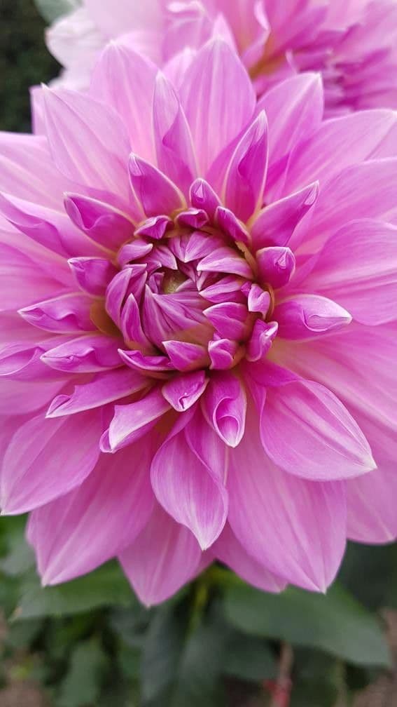 Prodej domu 173 m², pozemek 2.079 m², Cottbuser Str. 2h, Heidesee, Braniborsko Prodej domu 173 m², pozemek 2.079 m², Cottbuser Str. 2h, Heidesee, Braniborsko