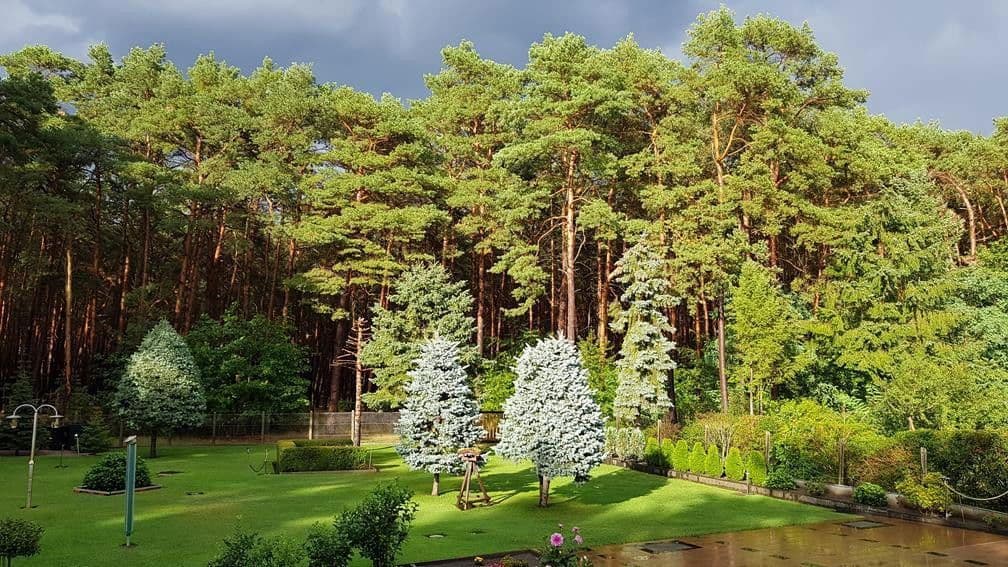 Prodej domu 173 m², pozemek 2.079 m², Cottbuser Str. 2h, Heidesee, Braniborsko Prodej domu 173 m², pozemek 2.079 m², Cottbuser Str. 2h, Heidesee, Braniborsko