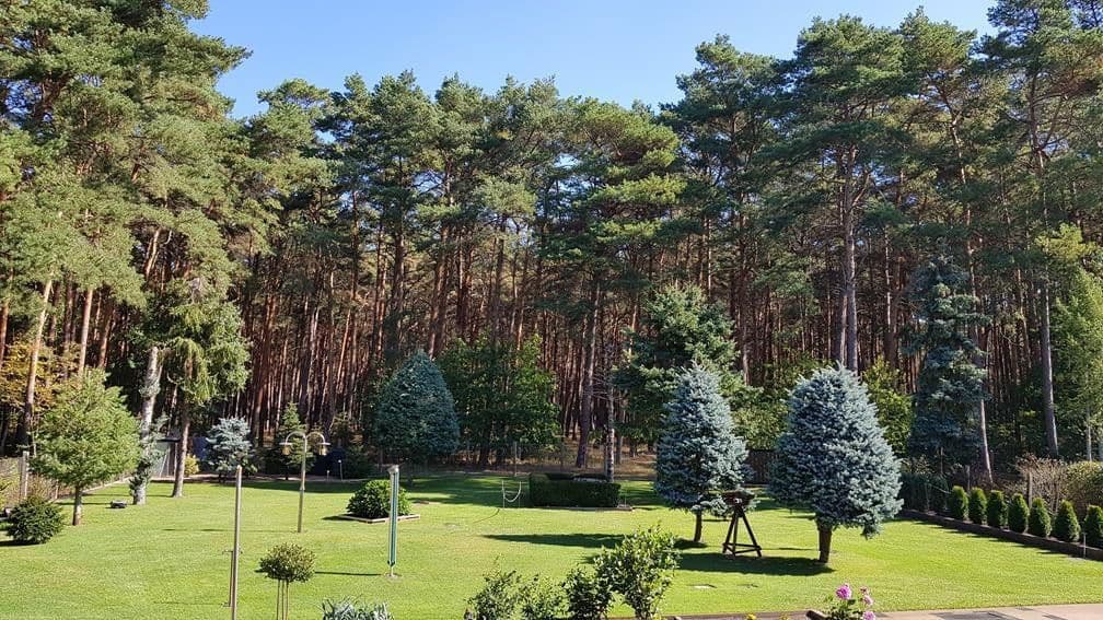 Prodej domu 173 m², pozemek 2.079 m², Cottbuser Str. 2h, Heidesee, Braniborsko Prodej domu 173 m², pozemek 2.079 m², Cottbuser Str. 2h, Heidesee, Braniborsko