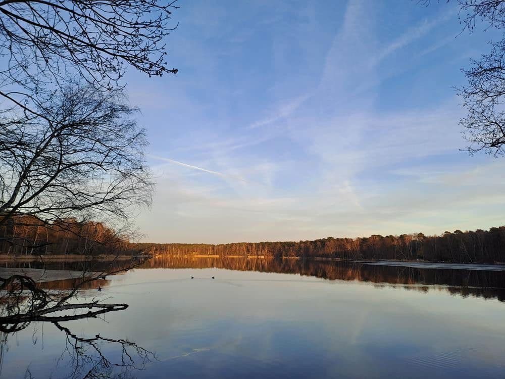 Prodej domu 173 m², pozemek 2.079 m², Cottbuser Str. 2h, Heidesee, Braniborsko Prodej domu 173 m², pozemek 2.079 m², Cottbuser Str. 2h, Heidesee, Braniborsko