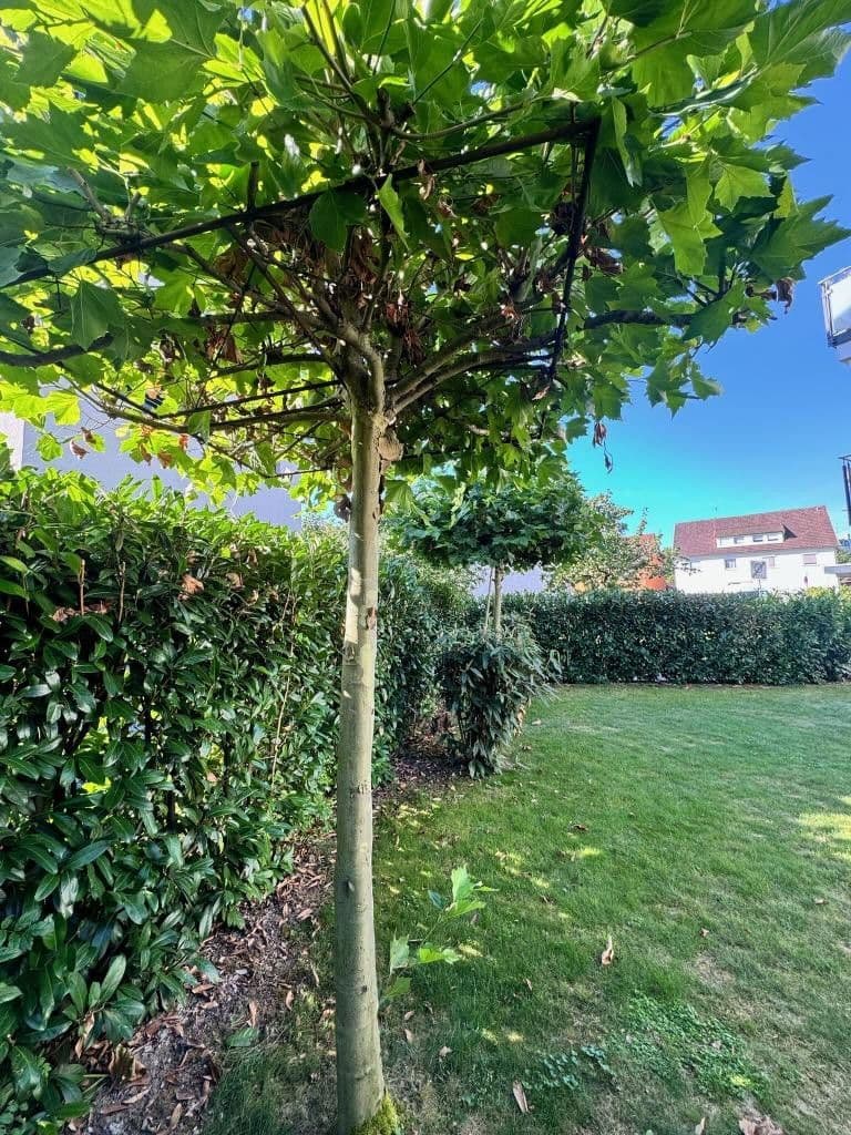 Prodej bytu 5+kk 146 m², Kirchheim unter Teck, Bádensko-Württembersko Prodej bytu 5+kk 146 m², Kirchheim unter Teck, Bádensko-Württembersko