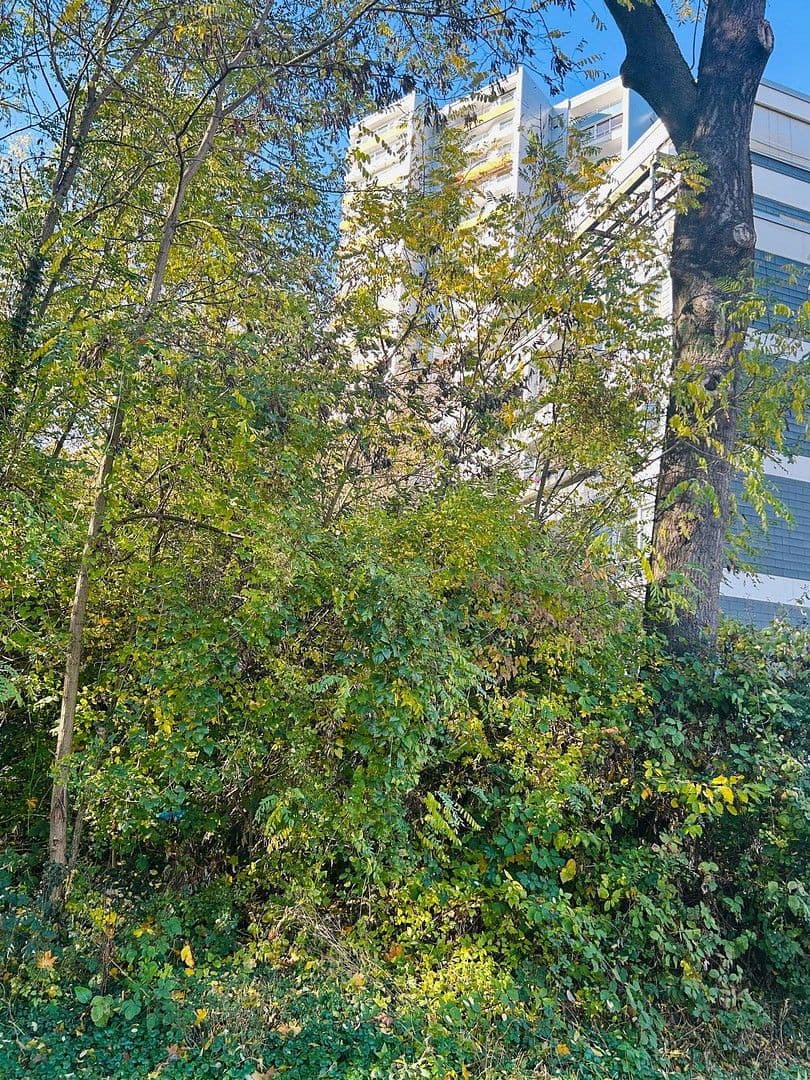 Prodej bytu 3+1 88 m², Frölingstr. 7, Bad Homburg vor der Höhe, Hessen Prodej bytu 3+1 88 m², Frölingstr. 7, Bad Homburg vor der Höhe, Hessen