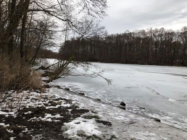 Prodej domu 147 m², pozemek 800 m², Wiesengrund 24, Lübeck, Šlesvicko-Holštýnsko Prodej domu 147 m², pozemek 800 m², Wiesengrund 24, Lübeck, Šlesvicko-Holštýnsko