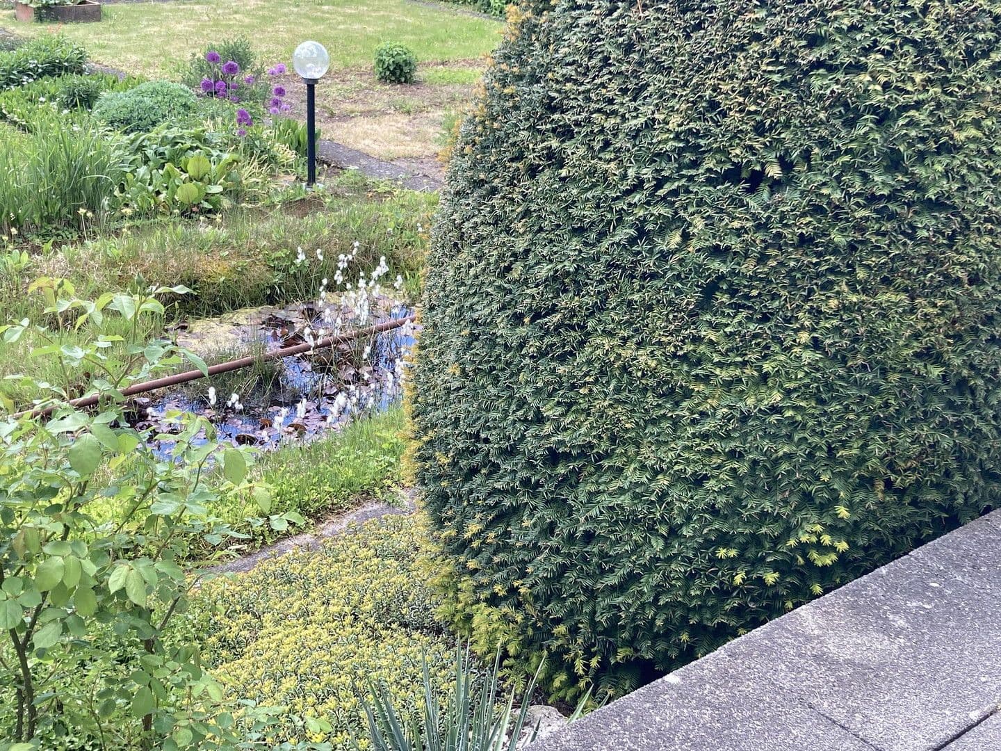 Prodej domu 196 m², pozemek 600 m², Erkenbrechtsweiler, Bádensko-Württembersko Prodej domu 196 m², pozemek 600 m², Erkenbrechtsweiler, Bádensko-Württembersko