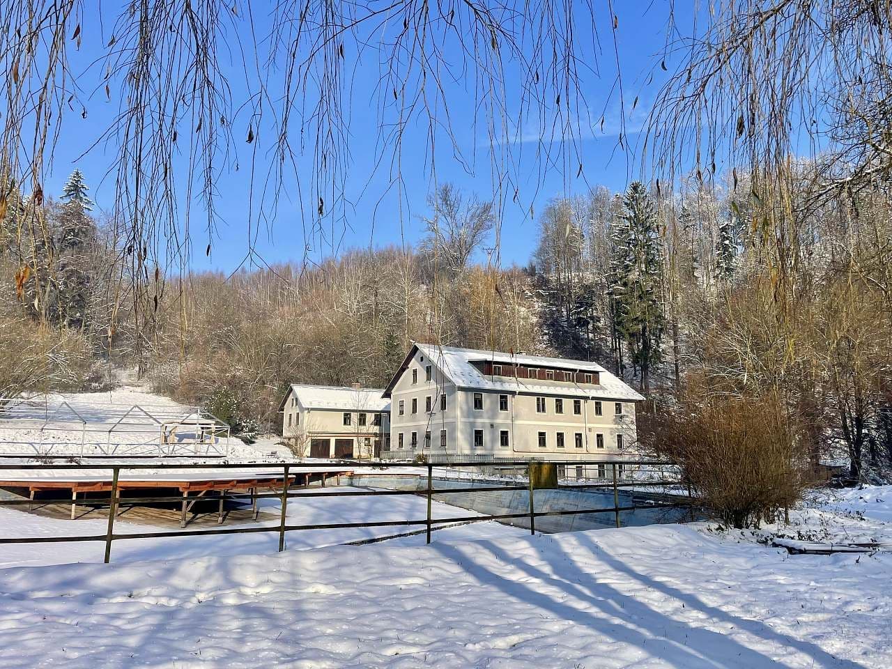 Pronájem chaty, chalupy, Hrádek, Pardubický kraj Pronájem chaty, chalupy, Hrádek, Pardubický kraj