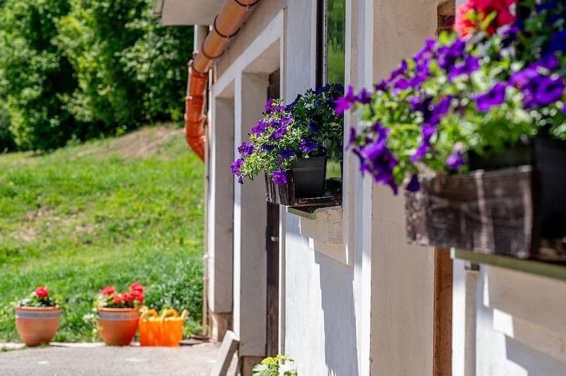 Pronájem chaty, chalupy, Hrádek, Pardubický kraj Pronájem chaty, chalupy, Hrádek, Pardubický kraj