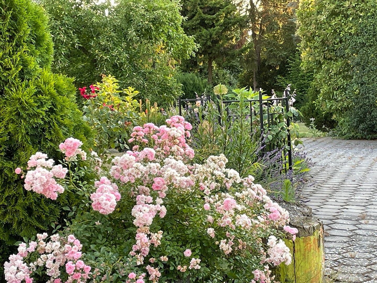 Prodej domu 168 m², pozemek 647 m², Lehre, Dolní Sasko Prodej domu 168 m², pozemek 647 m², Lehre, Dolní Sasko