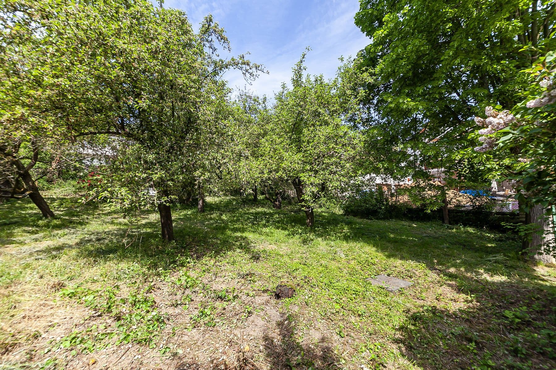 Prodej pozemku 1.552 m², Na Vinicích, Davle, Středočeský kraj Prodej pozemku 1.552 m², Na Vinicích, Davle, Středočeský kraj