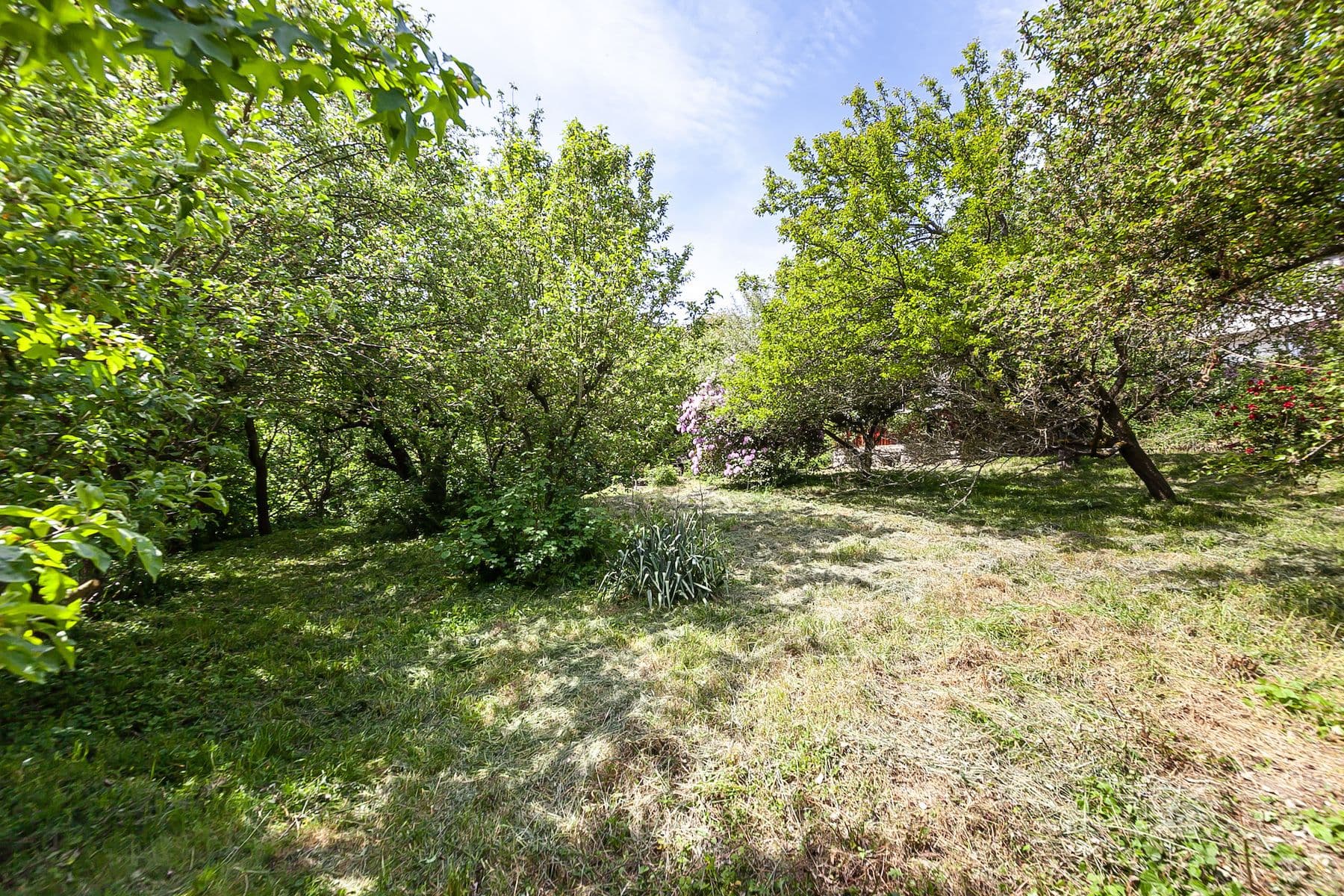 Prodej pozemku 1.552 m², Na Vinicích, Davle, Středočeský kraj Prodej pozemku 1.552 m², Na Vinicích, Davle, Středočeský kraj