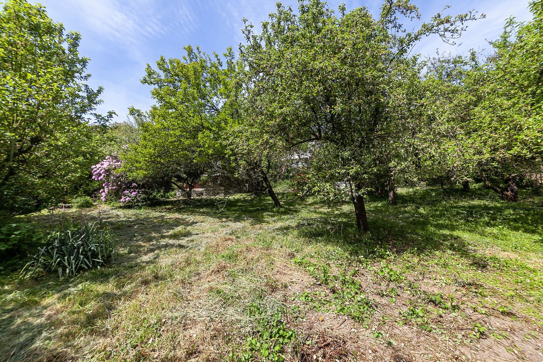 Prodej pozemku 1.552 m², Na Vinicích, Davle, Středočeský kraj Prodej pozemku 1.552 m², Na Vinicích, Davle, Středočeský kraj